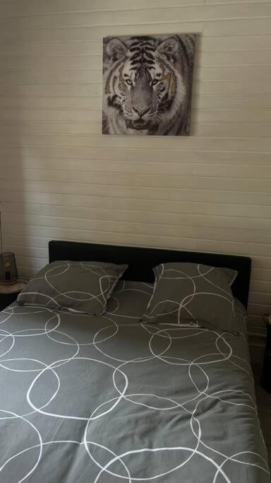 Magnifique Appartement T2 Le Barcares Bagian luar foto